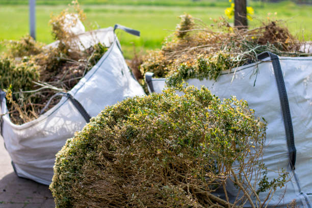 Best Full-Service Junk Removal  in Royalton, IL