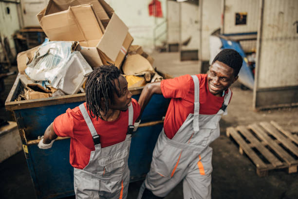 Best Household Junk Removal  in Royalton, IL