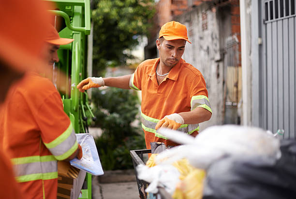 Best Electronics Removal Services  in Royalton, IL