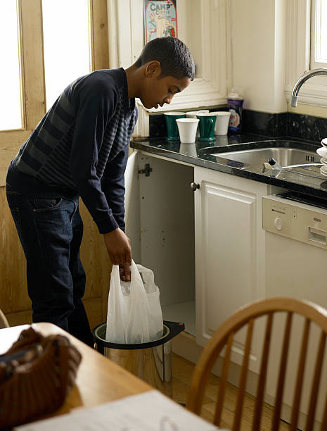 Best Construction Debris Removal  in Royalton, IL